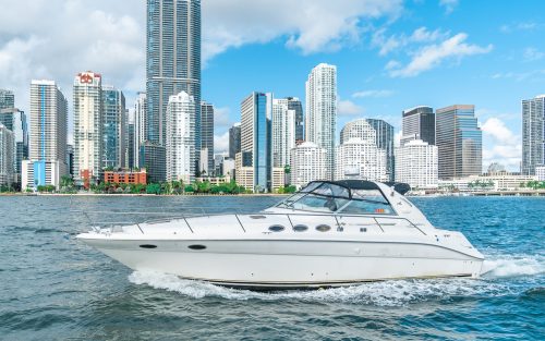 Sea Ray 40′ (VICE II)